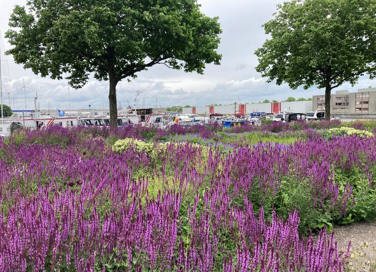 Vanaf 1 juli 2025 6% BTW-tarief permanent voor afbraak en heropbouw