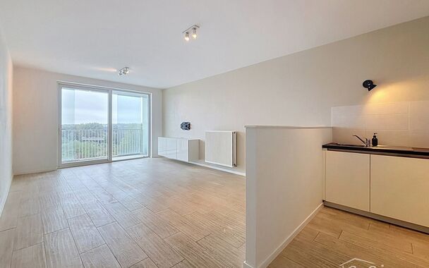 Dit energiezuinig appartement bevindt zich in een recent gebouw (2018) nabij het prachtige Rivierenhof. U betreedt het appartement via de inkomhal (ca.7 m&sup2;) met voldoende kastruimte en apart toilet. Lichtrijke woonkamer op keramische parket met een open 