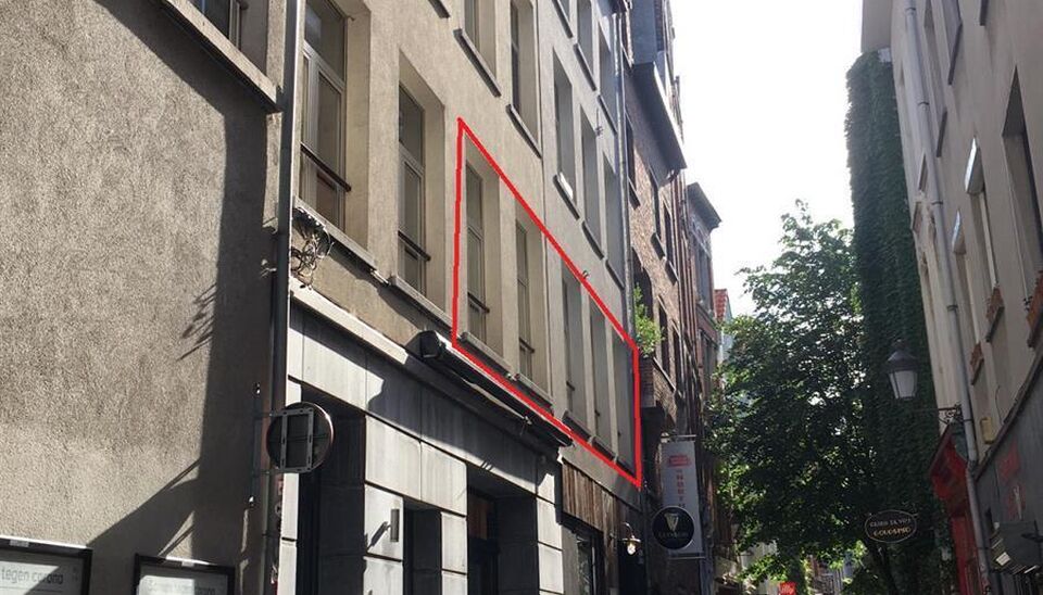 Gezellig éénslaapkamer appartement op centrale locatie aan Hendrik Conscienceplein.
Inkomhal met vestiaire en gastentoilet. Ruime en lichte leefruimte (ca. 32m²) op laminaatvloer. Open keuken uitgerust met gasfornuis, traditionele oven en dampkap. Aans