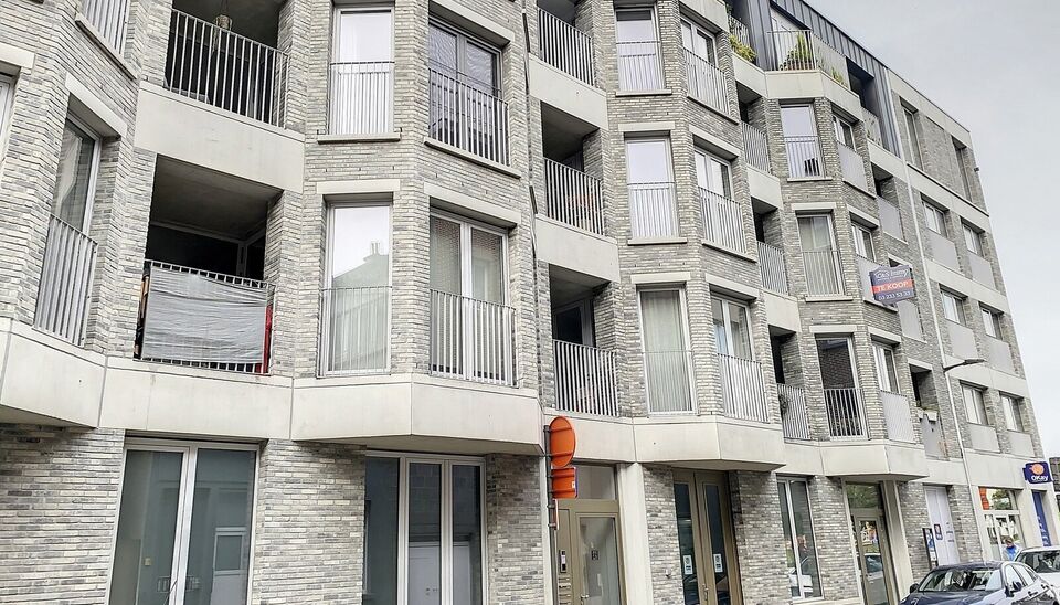 Ruim appartement met 2 slaapkamers met zicht op Park Spoor Noord. Lichtrijke woonkamer (ca. 28m&sup2;) met toegang tot het terras. Open ingerichte keuken (ca.15m&sup2;) voorzien van kwaliteitsvolle toestellen ( vaatwasser, dampkap, koelkast en keramische kookplaa