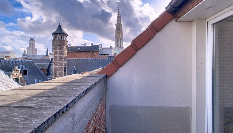 In een voormalige neoclassicistische burgerwoning, volledig gerenoveerd en omgevormd tot een kleinschalig appartementsgebouw met EPC-label B, vind je dit stijlvolle appartement van 57 m². Instapklaar wonen in het hart van Antwerpen!
Het appartement bevi