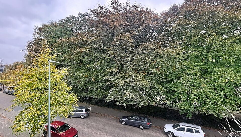 Lichtrijk appartement met groen uitzicht op toplocatie in Deuzeld.
Op de tweede verdieping bevindt zich dit goed gelegen en bijzonder lichtrijke appartement met een prachtig, open zicht op het groen. De ligging is ideaal op wandelafstand van parken, winke